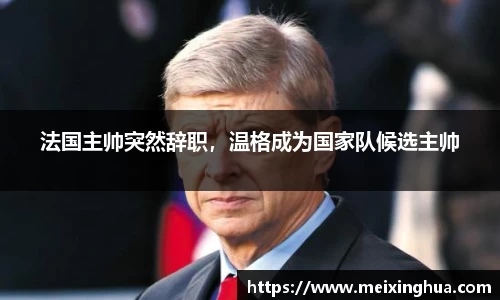 法国主帅突然辞职，温格成为国家队候选主帅