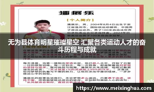 无为县体育明星璀璨星空 汇聚各类运动人才的奋斗历程与成就